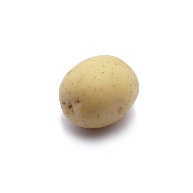 KROMPIR SEMENSKI COLOMBA  A35/55 10KG