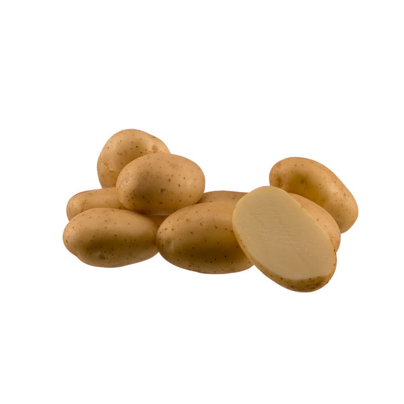 KROMPIR SEMENSKI ARROW 28/35 25KG