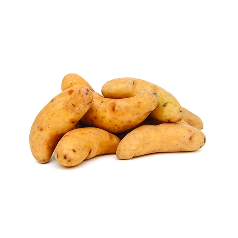 KROMPIR SEMENSKI KIFELJČAR BELI