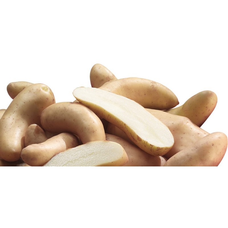 KROMPIR SEMENSKI KRESNIK 35/50 5KG