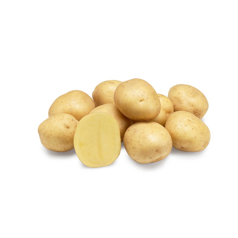 KROMPIR SEMENSKI TWISTER A 35/50 25KG