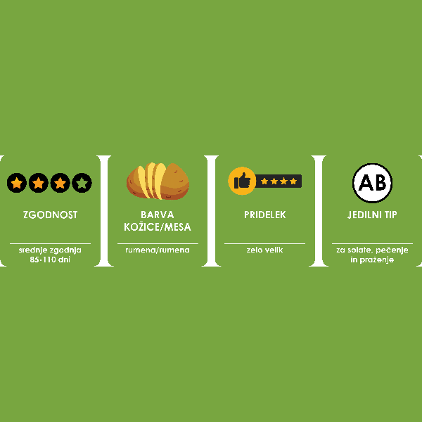 KROMPIR SEMENSKI CAMELIA A 35/55 5KG