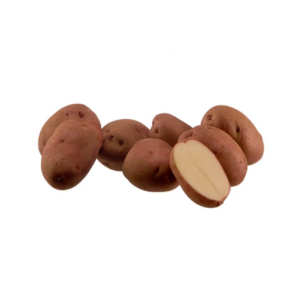 KROMPIR SEMENSKI RUDOLPH A 35/55MM 10KG