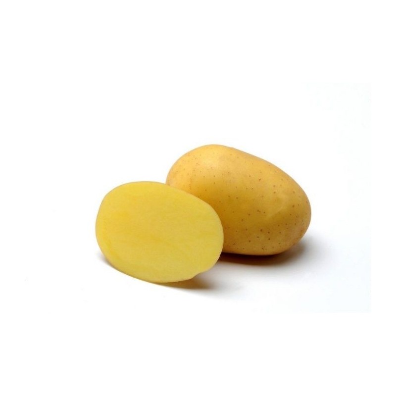 KROMPIR SEMENSKI MARABEL 35/55 10KG