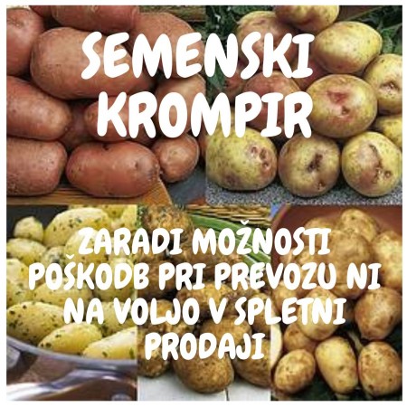 SEMENSKI-KROMPIR------NI-V-SPLETNI-PRODAJI!